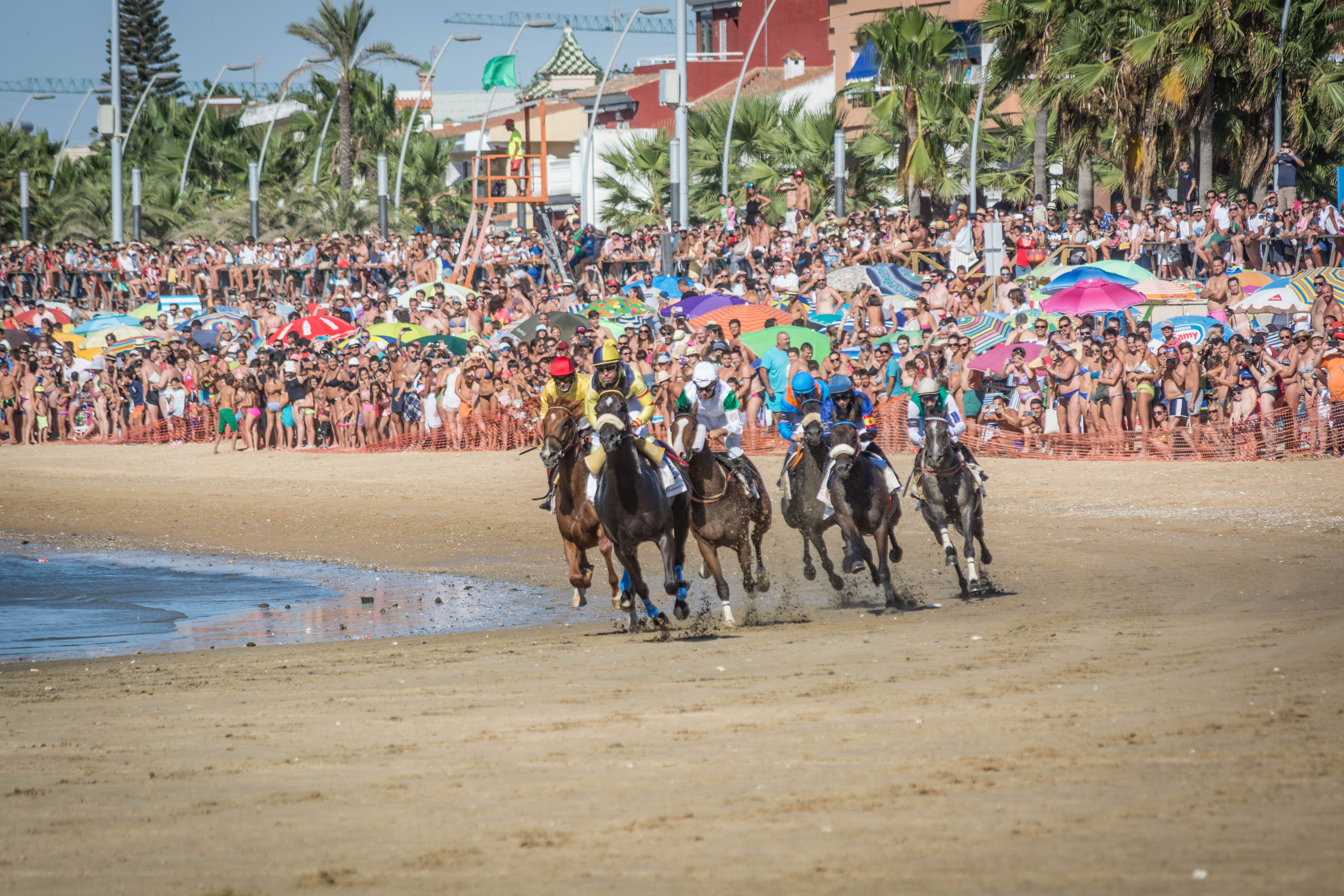 Carreras de caballos Sanlúcar de Barrameda 2023