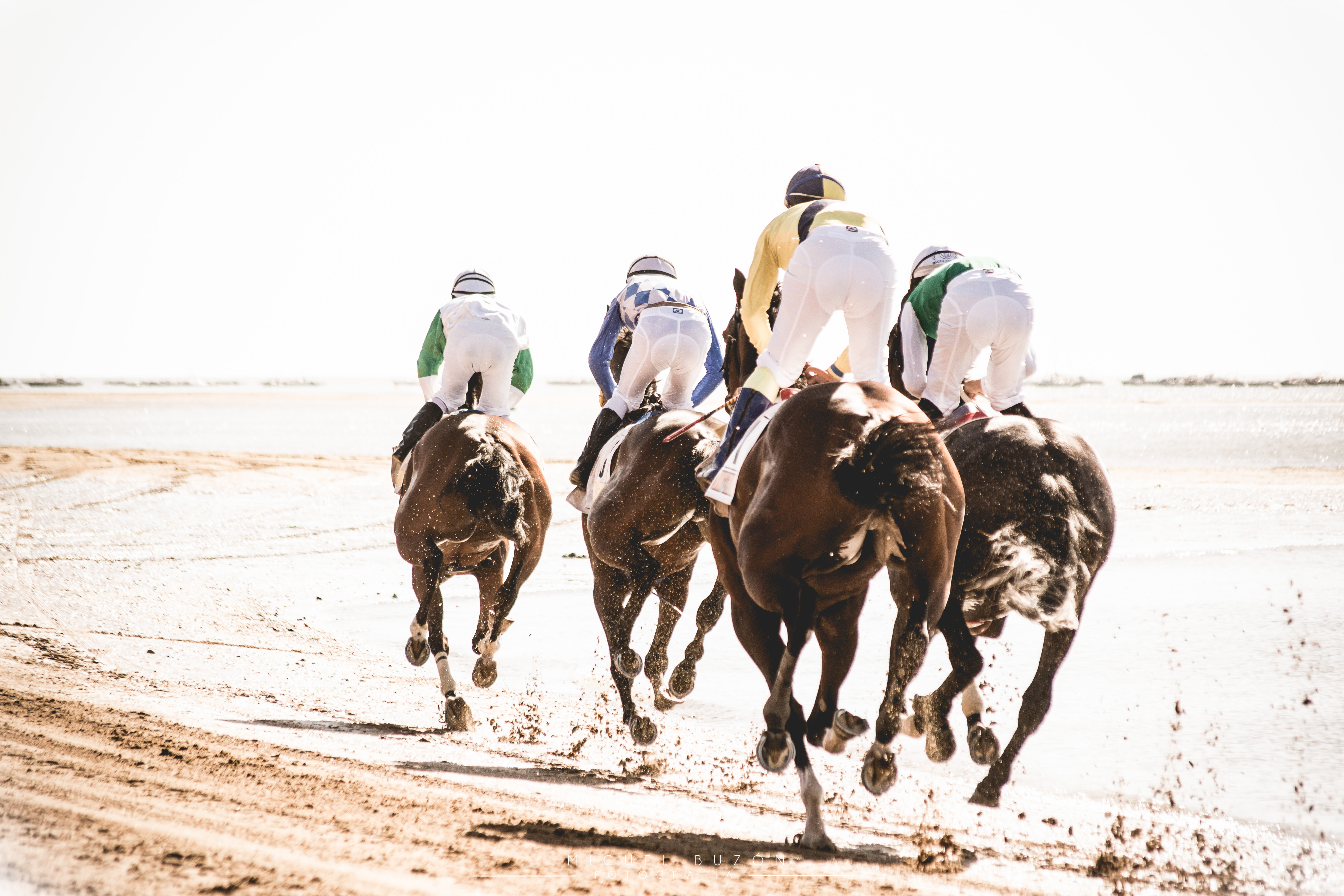 Carreras de caballos Sanlúcar de Barrameda 2023